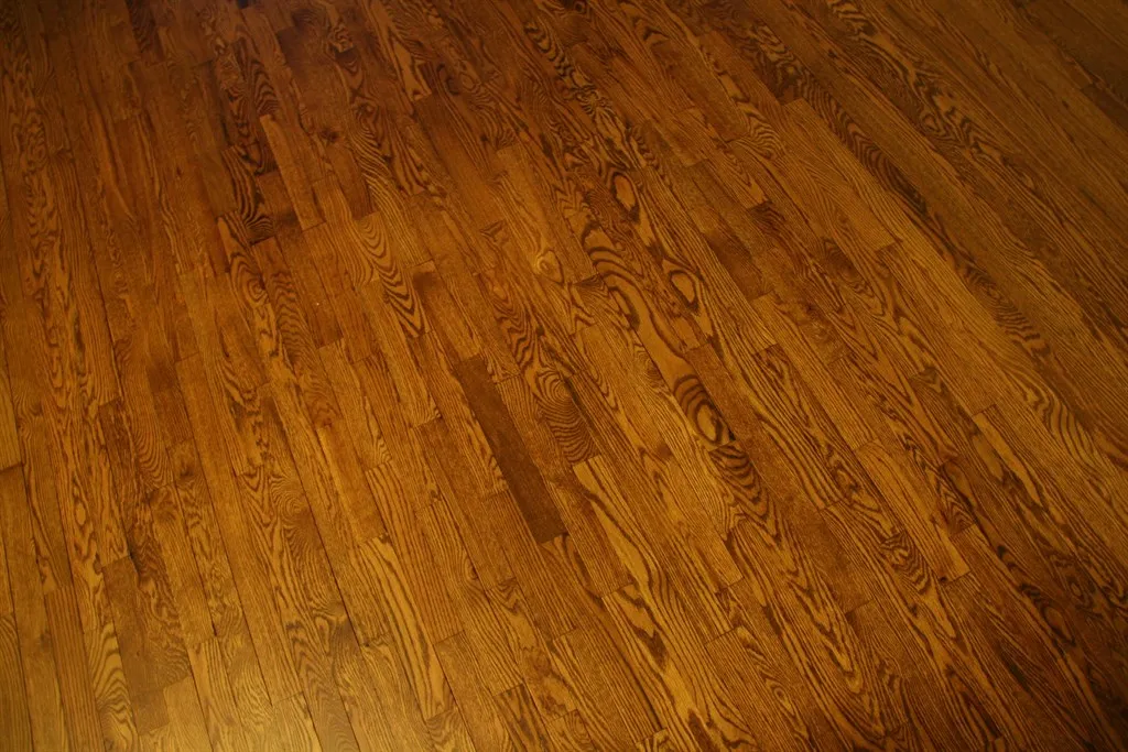 Close view of a freshly sanded and stained oak floor