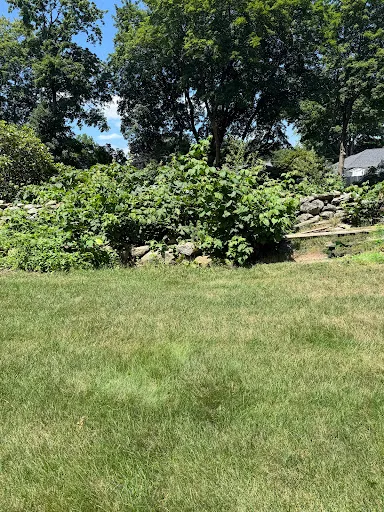 Review photo by Katy Cabral