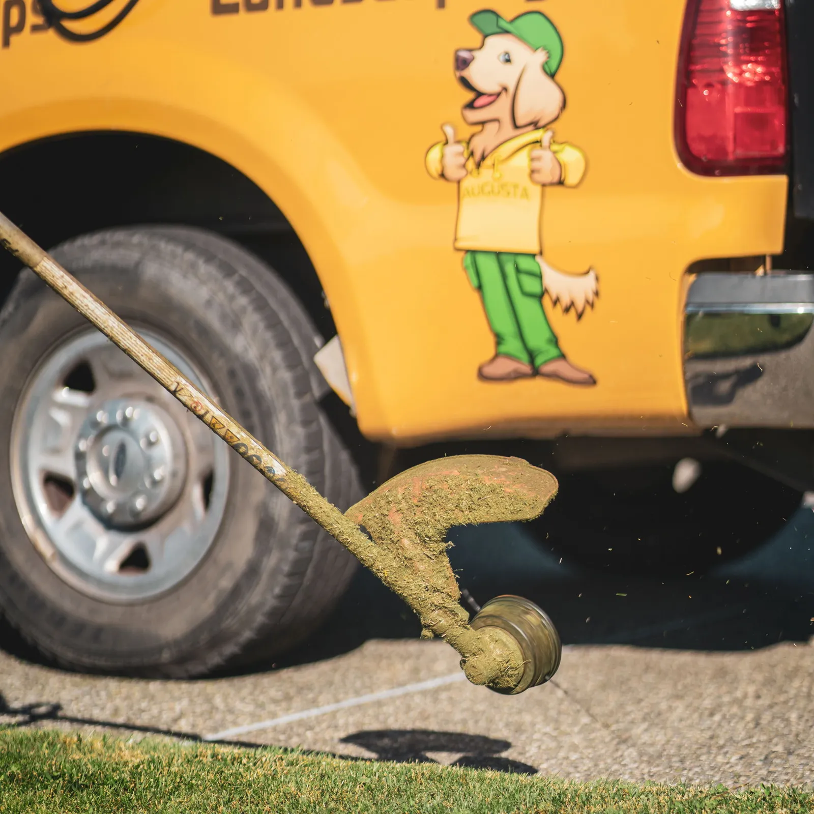 work photo from Google listing