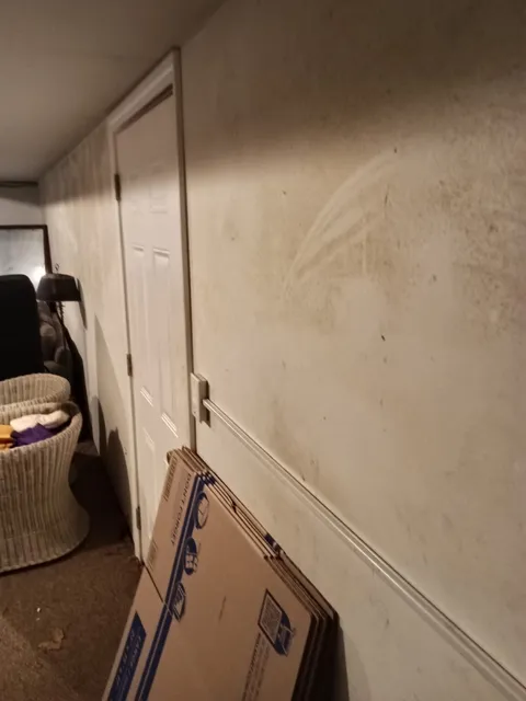 Stained downstairs wall beside white doors before cleaning, repair, priming and painting.