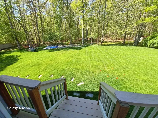 Before: Plain lawn from deck steps