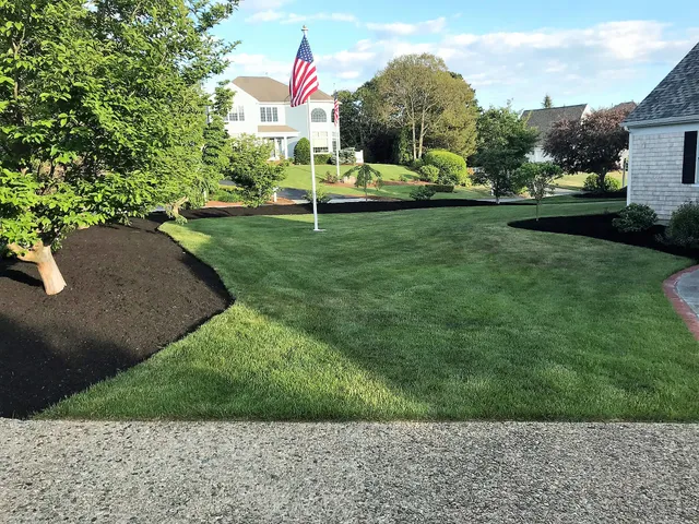 work photo from cactusflowerlandscaping.com
