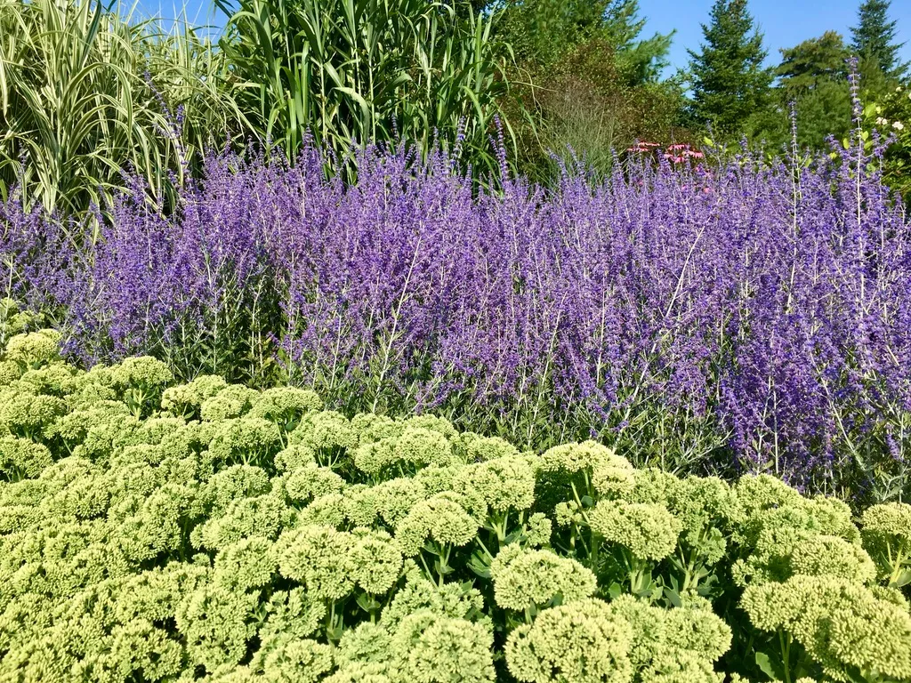 work photo from gardenroomslandscapedesign.com