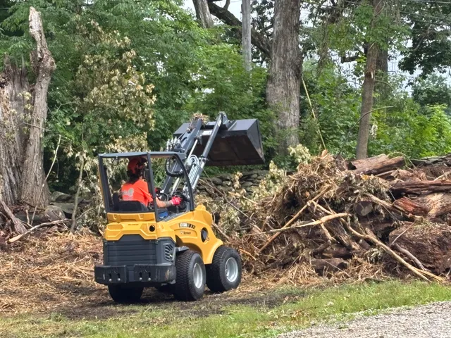 RJ Tree Service work photo
