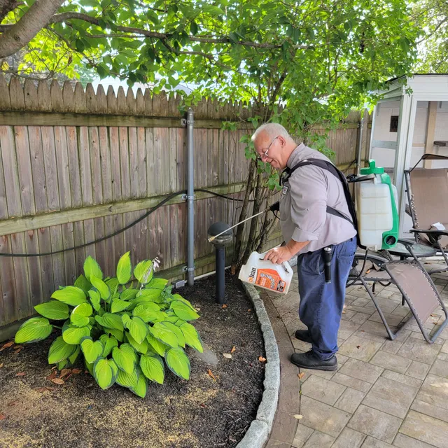Fox Pest Control Rhode Island work photo