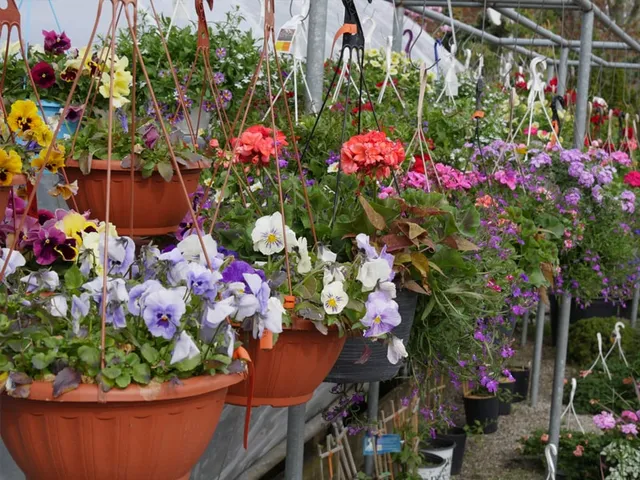 work photo from echobrooknursery.com