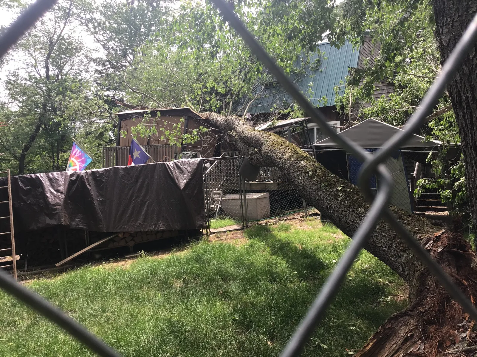Neighbor's damage