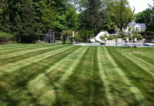 Bay View Landscaping