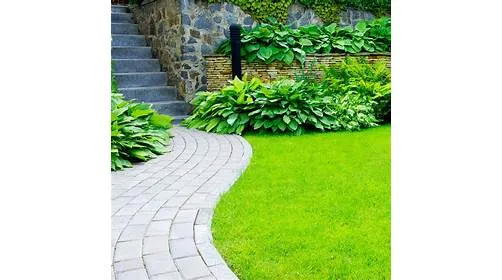 South Shore Lawn Care, LLC