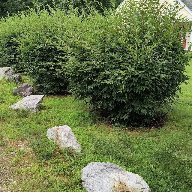 Grants Landscaping LLC researched project photo