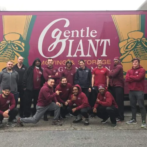 work photo from gentlegiant.com