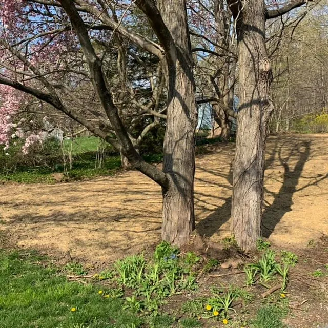 DePaolo & Gagne Landscaping work photo
