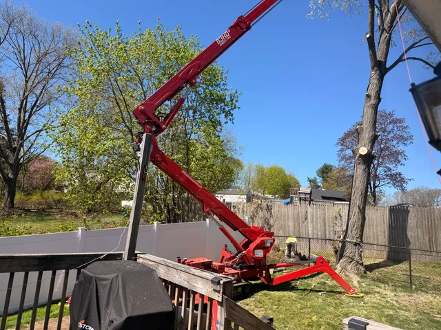 Monster Tree Service of Hartford work photo