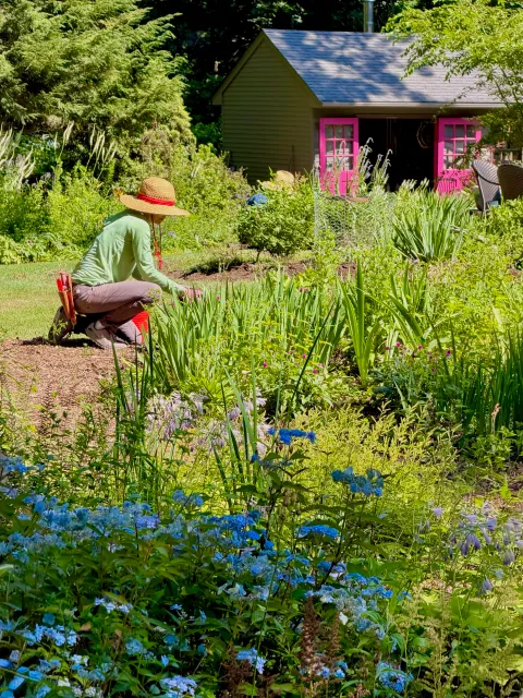 concord ma garden maintenance