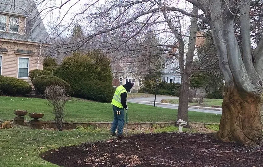 Seasonal Cleanups
