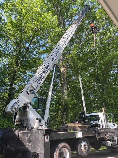 Soccio Tree Service, LLC work photo