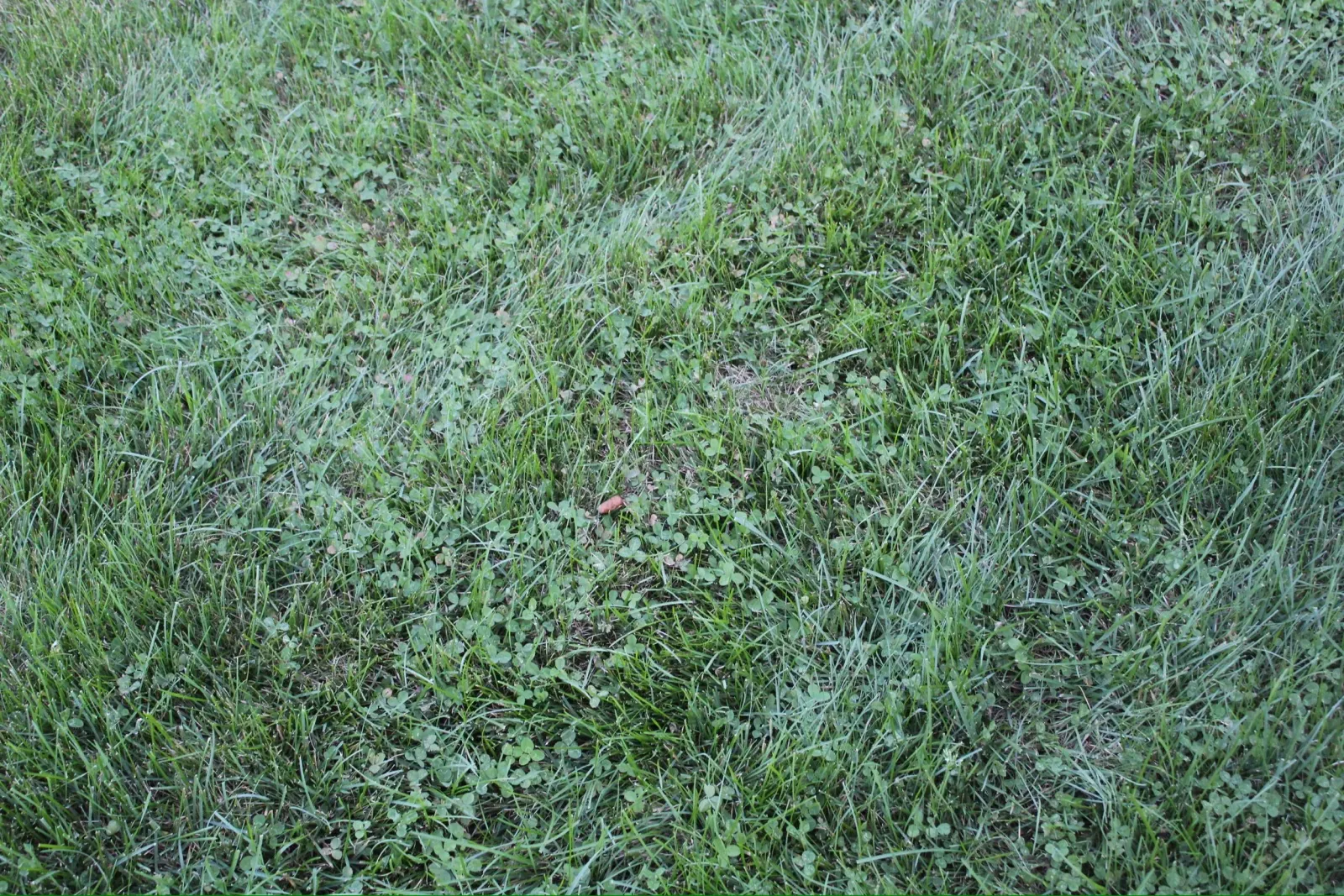 image0 (9).jpeg