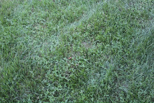 image0 (9).jpeg