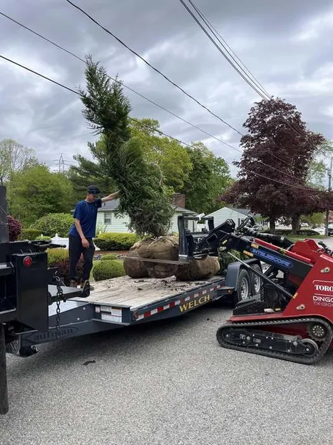 Welch Landscaping project — South Shore lawn care and landscape construction