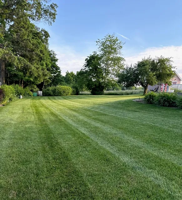 Advantage Lawn Care LLC work photo
