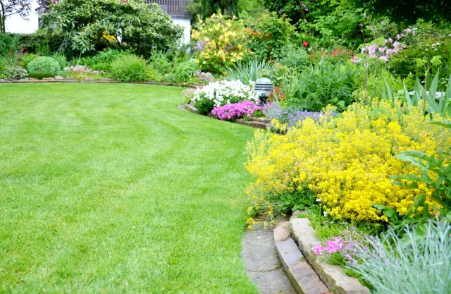 Lawn.jpeg