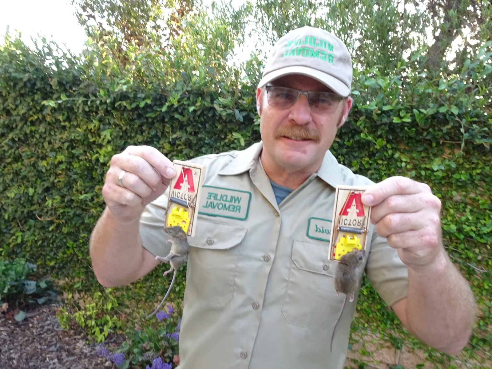 work photo from Google listing