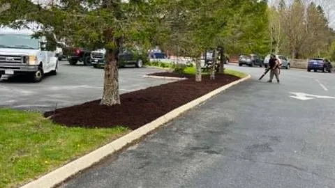 Crew member with a blower in a commercial parking lot, beside a freshly mulched island