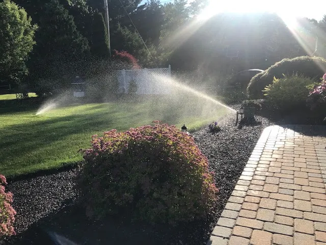 Green Grass Irrigation Co work photo