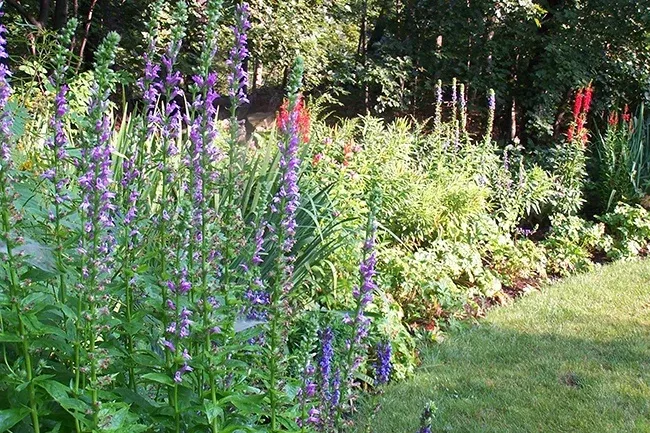 work photo from thegardencontinuum.com