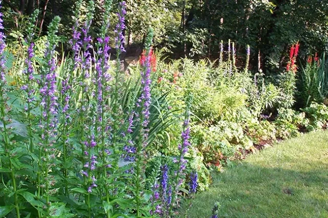 work photo from thegardencontinuum.com