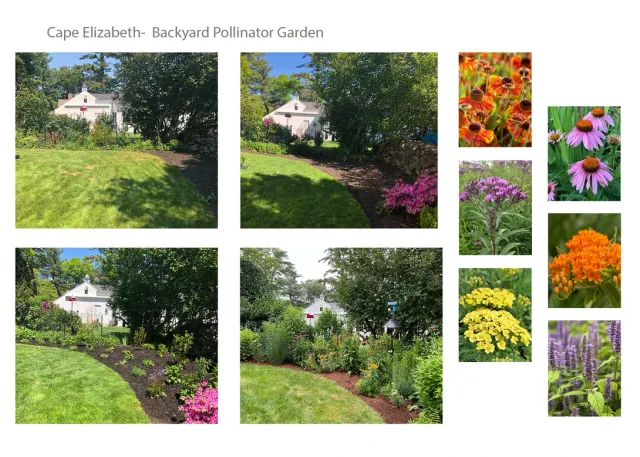 work photo from wildnectarlandscaping.com