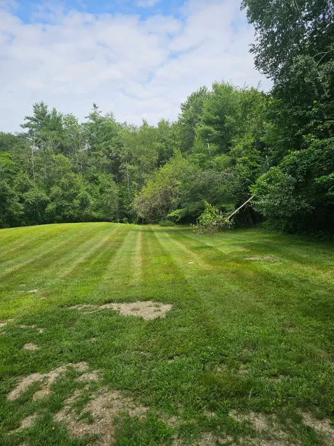 A grassy field with striped mowing patterns, bordered by dense green trees under a partly cloudy sky.