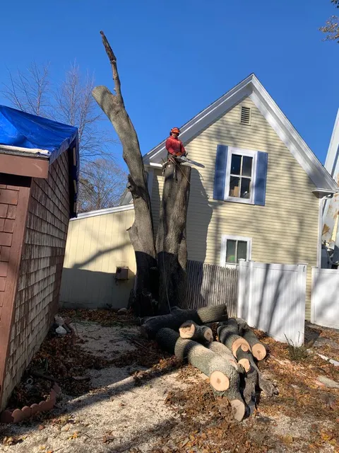 4seasons Tree service & Landscaping LLC
