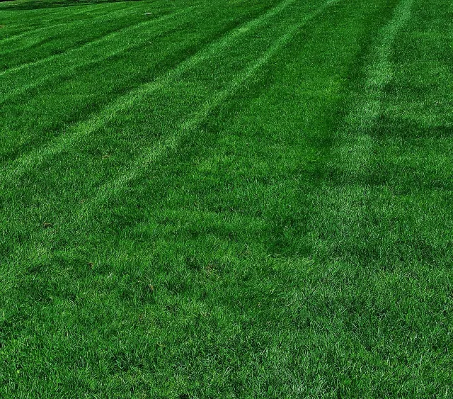 Picture3.jpg
