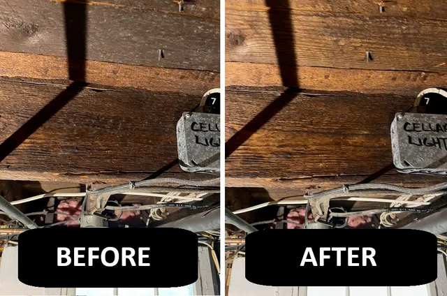 Ark Restoration work photo