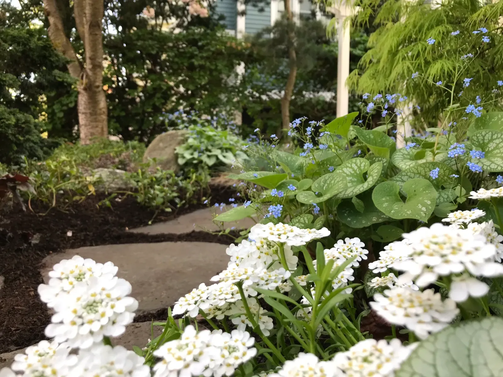work photo from pembertongardening.com