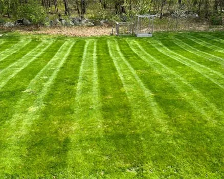 work photo from palandjianlandscaping.com