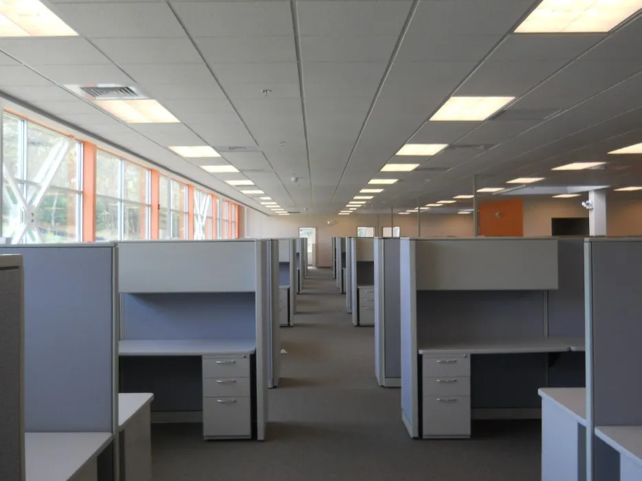 work photo from conservgroup.com