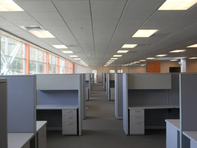 work photo from conservgroup.com
