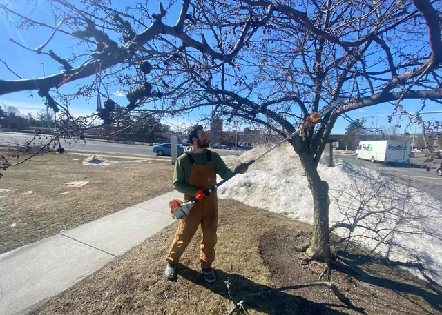 work photo from evergreenlawnandlandscape.com