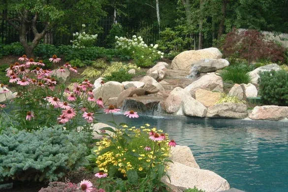 Kalmia Design researched project photo