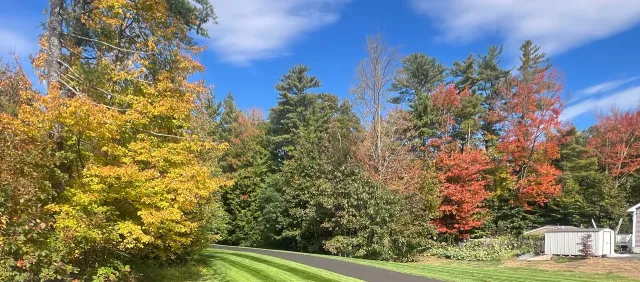 A road through a vibrant autumn forest with colorful foliage and a bright blue sky.