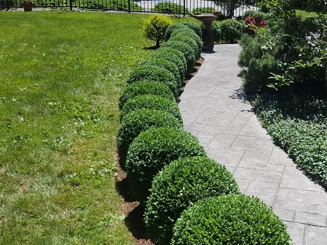 work photo from lacasseandsonlandscaping.com