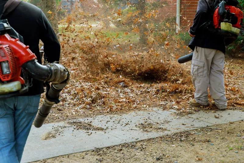 work photo from progreenlandscapingma.com
