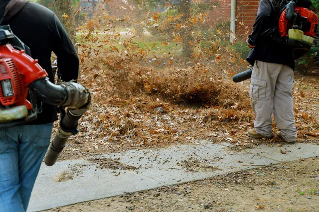 work photo from progreenlandscapingma.com