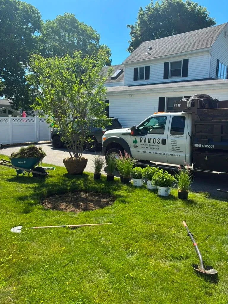 work photo from ramostreeplanting.com