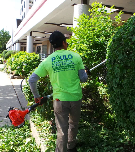 commercial bush trimming