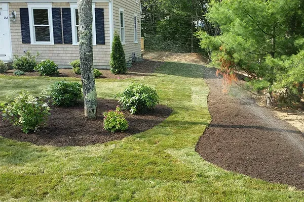 Landscape Installation