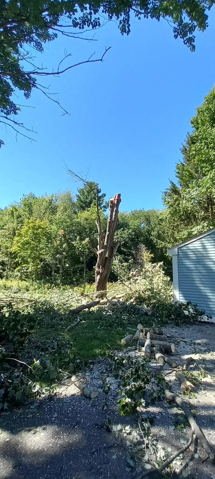 Diamond Landscaping & Tree Services