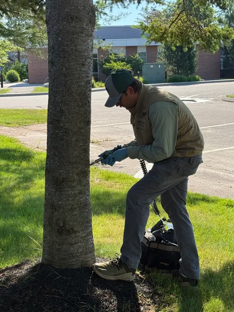 Tree Medics work photo